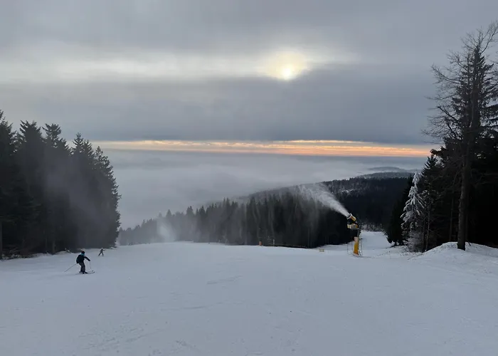 Na Bukovce Merot 아파트 Červená Voda